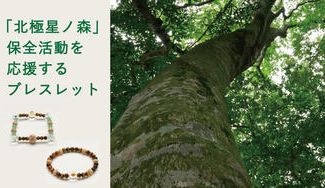 クラウドファンディングプロジェクト:約1万年以上前から続く「北極星ノ森」の保全活動を、ブナ珠ブレスレットで応援!プロジェクト