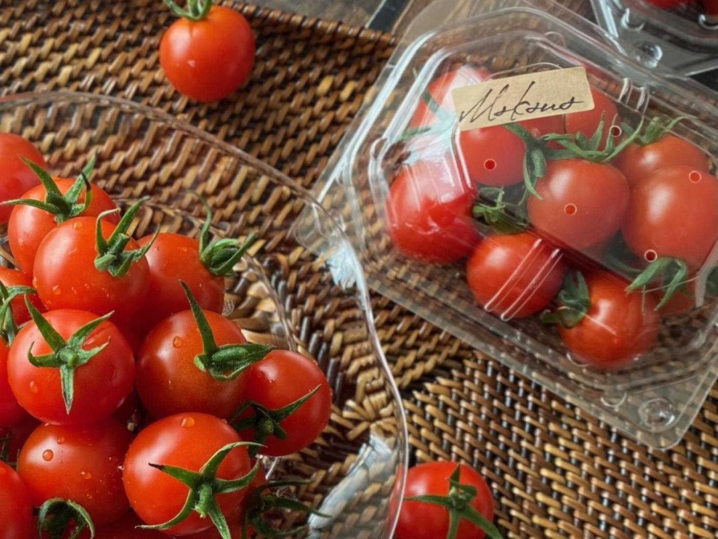 トマト 高田種苗オンライン / センセルノ Senserno RZ 100粒袋