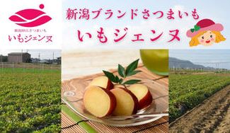 クラウドファンディングプロジェクト：【新潟県新潟市】最適な土壌・気候で栽培した糖度たっぷりのさつまいも「いもジェンヌ」