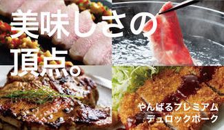 クラウドファンディングプロジェクト:世界的に希少な《純血デュロック豚》を沖縄の大自然で育てたプレミアムポーク!