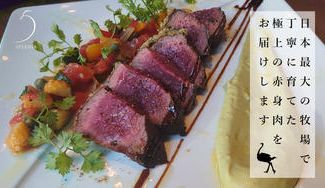 クラウドファンディングプロジェクト：【常陸の国】筑波山の麓に広がる日本最大級の牧場から　国産オーストリッチミートをお届けします