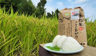 クラウドファンディングプロジェクト：千葉県の現役皇室献上米農家の新米！音信山の伏流水で作る安心安全美味なお米です。