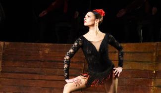 クラウドファンディングプロジェクト：ウクライナ出身のバレエダンサーが出演する「ひょうご洋舞フェスティバル」を応援！