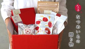 クラウドファンディングプロジェクト：1日３粒の御守り果実「なつめ」。女性に寄り添うなら「なつめいろ」