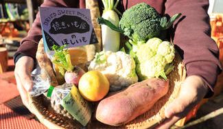 クラウドファンディングプロジェクト：あま～い焼き芋に旬の地元野菜がたっぷり！届いて楽しい野菜のたまてばこを今日の食卓に