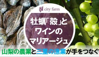 クラウドファンディングプロジェクト：三重の海と山梨の大地のマリアージュ。牡蠣殻を使って最高のワインを作りたい