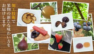 クラウドファンディングプロジェクト：千葉の果物をより身近に。加工技術のプロが送る新たな果物の楽しみ方を体験してください！