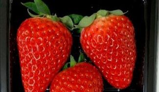 クラウドファンディングプロジェクト：玉城町から摘みたてイチゴ・特製ジャムを直送！