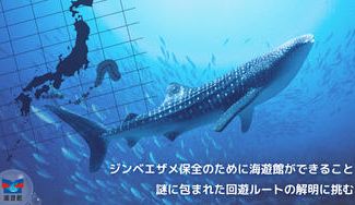 クラウドファンディングプロジェクト：ジンベエザメ保全のために海遊館ができること 謎に包まれた回遊ルートの解明に挑む