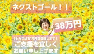 クラウドファンディングプロジェクト:おいしいが優しい!熊谷のひまわり畑が育んだ「はちみつレモンベース」