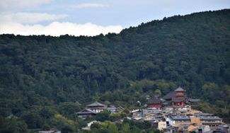クラウドファンディングプロジェクト:荒廃が進む京都三山の「東山」1200年の文化育む「共生の森」に整備したい