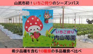 クラウドファンディングプロジェクト:内山苺園から山武市初の苺狩りシーズンパス誕生!450坪の大型ハウスで希少品種を含む10種類の食べ比べ