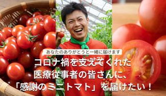 クラウドファンディングプロジェクト：コロナ禍を支えてくれた医療従事者の皆さんに、「感謝のミニトマト」を届けたい！