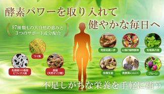 クラウドファンディングプロジェクト：野菜不足や栄養不足が気になる方に。９つの厳選した素材で作った「神酵素®」で健やかな毎日をサポート！