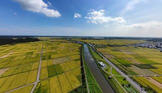 クラウドファンディングプロジェクト：【3/18 開催】多古町マラソン TAKOTAKO RUN！栗山川で凧あげ競争、多古米、蛸料理も