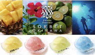 クラウドファンディングプロジェクト：冬に美味しい！沖縄ソルベセット