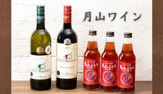 クラウドファンディングプロジェクト：【好評につき、期間延長！】「甲州」の最北産地で作った月山ワイン・月山ぶどうサイダーをお届けします