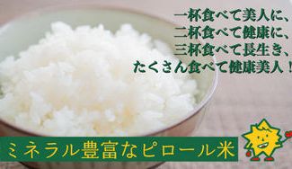 クラウドファンディングプロジェクト：五ツ星お米マイスターがいる但木米店がおすすめ！ピロール米をみんなに届けたい！