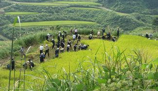 クラウドファンディングプロジェクト：まだ見ぬ世界へ　地方に足を運び・体験し　日本の食料自給率UPに貢献しましょう