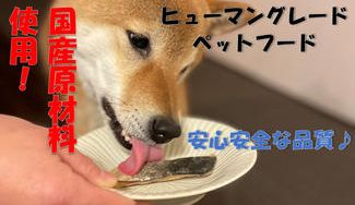クラウドファンディングプロジェクト:犬猫用 骨まで食べられる煮魚ペットフード(あじ・いわし・さば・穴子・ヨシキリザメ・秋鮭)特別セット