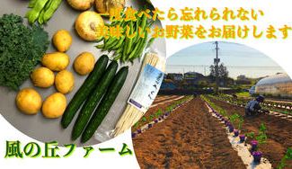 クラウドファンディングプロジェクト：【有機の里小川町発】採れたて野菜と美味しい玉ねぎドレッシングをお届けします。