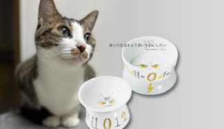 クラウドファンディングプロジェクト：大事な猫の体調の変化をみれる波佐見焼で作ったフードボウル＆ウォーターボウル(特許出願中)