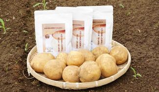 クラウドファンディングプロジェクト：【ギフト】家族や子供たちの健やかな未来を想って。持続可能な農業から生まれた安心素材のおやつスープ