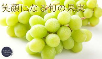 クラウドファンディングプロジェクト：加須市の鳥海農園より～太陽の恵みをふんだんに受けた減農薬のシャインマスカットを届けたい
