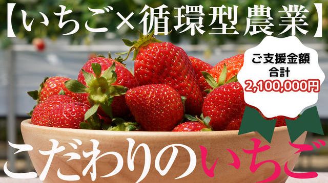 f3179e9f1c65eec00fa9a0b185715d