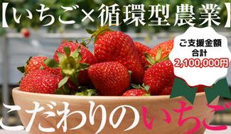 クラウドファンディングプロジェクト:【いちご×循環型農業】リサイクルオイルを活用し、脱炭素にこだわり抜いた〈いちご〉をお届けします。