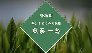 クラウドファンディングプロジェクト:【宮崎県】1年に1回の収穫・製造高品質の日本茶をお届けします