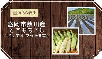クラウドファンディングプロジェクト：【岩手県盛岡市薮川】生でも食べられる！フルーツみたいな甘さの幻のとうもろこし”ピュアホワイト”