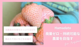 クラウドファンディングプロジェクト:淡路島からとれたて白いちご直送!廃棄ゼロ・低炭素型の持続可能な農業を目指す