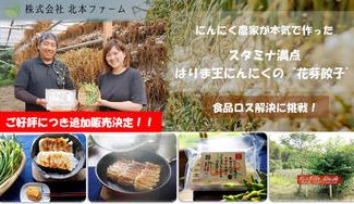 クラウドファンディングプロジェクト:兵庫県加西市のにんにく農家がフードロス解決に挑戦。”スタミナ満点ハリマ王にんにくの花芽餃子”