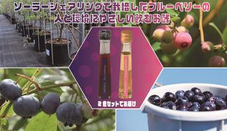 クラウドファンディングプロジェクト：ソーラーシェアリング栽培ブルーベリーの飲むお酢。体の健康と「地球の健康」にこだわる方に飲んでほしい！