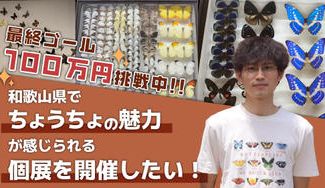 クラウドファンディングプロジェクト：和歌山県でちょうちょの魅力が感じられる個展を開催したい！