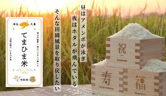クラウドファンディングプロジェクト:“てまひま米”を通じて化学肥料を使わない循環型農業を広めたい!~取り戻そう、生命溢れる田園風景~