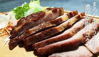 クラウドファンディングプロジェクト：まろやかなうま味と濃厚な脂のコク。加古川市志方町 肉のプロがつくる ”焼き豚 カタロース”