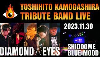 クラウドファンディングプロジェクト：豊洲ピット鴨さんデビューLIVEを盛り上げるために、コピバンによるプレLIVEを開催したい！