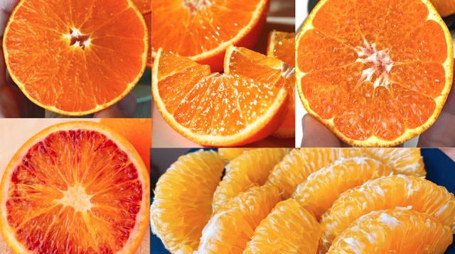 中島の農家を救いたい！絶好の土地環境で作られる中島の季節の美味しい