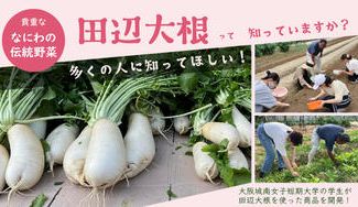 クラウドファンディングプロジェクト:なにわの伝統野菜「田辺大根」を多くの人に知ってほしい!