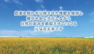 クラウドファンディングプロジェクト：玄米をもっと身近に！管理栄養士が考えた「からだととのう。」玄米ごはん＆スイーツ