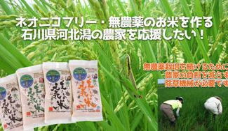 クラウドファンディングプロジェクト:【石川県・河北潟】魚に優しいネオニコ不使用に取り組む「生きもの元気米」の農家を応援したい!