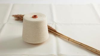 クラウドファンディングプロジェクト：2025年大阪・関西万博ユニフォームを滋賀県高島市のヨシ刈りからつくりたい