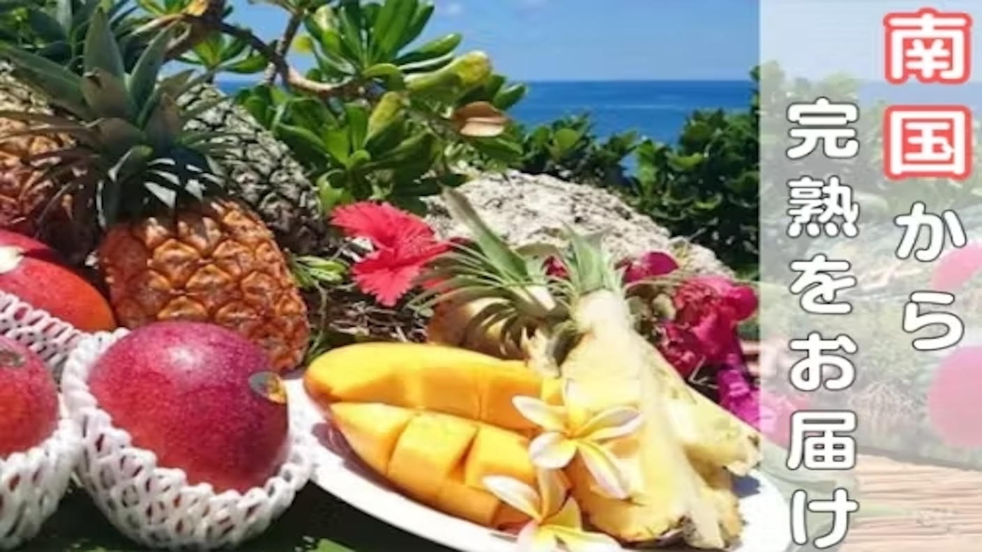 他とは一味違う！沖縄・西表島から完熟マンゴー・パイナップルをお届け