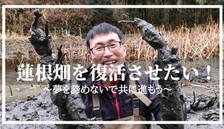 クラウドファンディングプロジェクト：レンコンさんの蓮根畑復興プロジェクト～夢を諦めない挑戦の物語！～