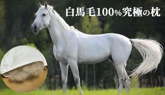 クラウドファンディングプロジェクト:18世紀初頭に王族、貴族の間で愛用された馬毛枕を忠実に再現したい!