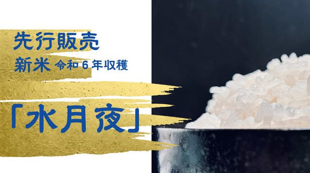 T*ん様 白米10キロ最高等級米。岐阜県揖斐郡最高級等級特A米収穫令和6年11月 9503540b6b18dad0aadc006c2a736f