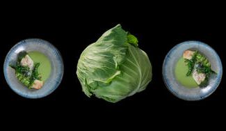 朝採れ直送】ここでしか出会えない「幻のキャベツ419