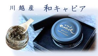 クラウドファンディングプロジェクト:【川越発】養豚農家の新たな挑戦。県内唯一の国産キャビア『小江戸CAVIAR』